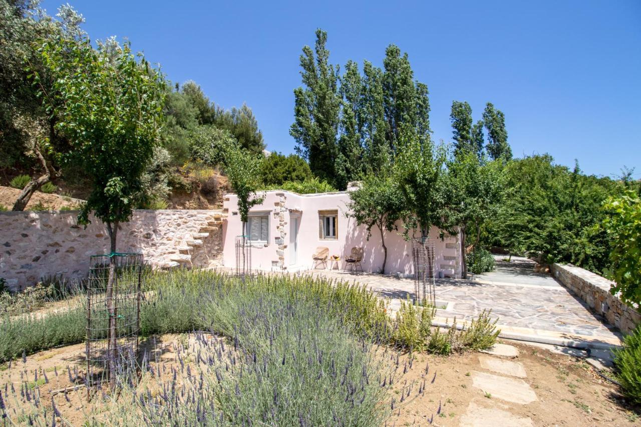 Serenity Village Aperathos Ngoại thất bức ảnh