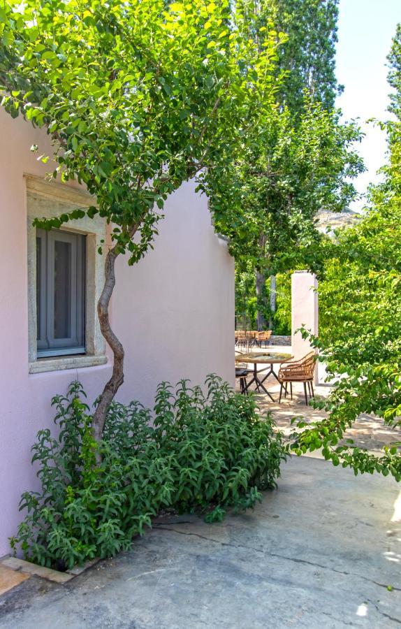 Serenity Village Aperathos Ngoại thất bức ảnh