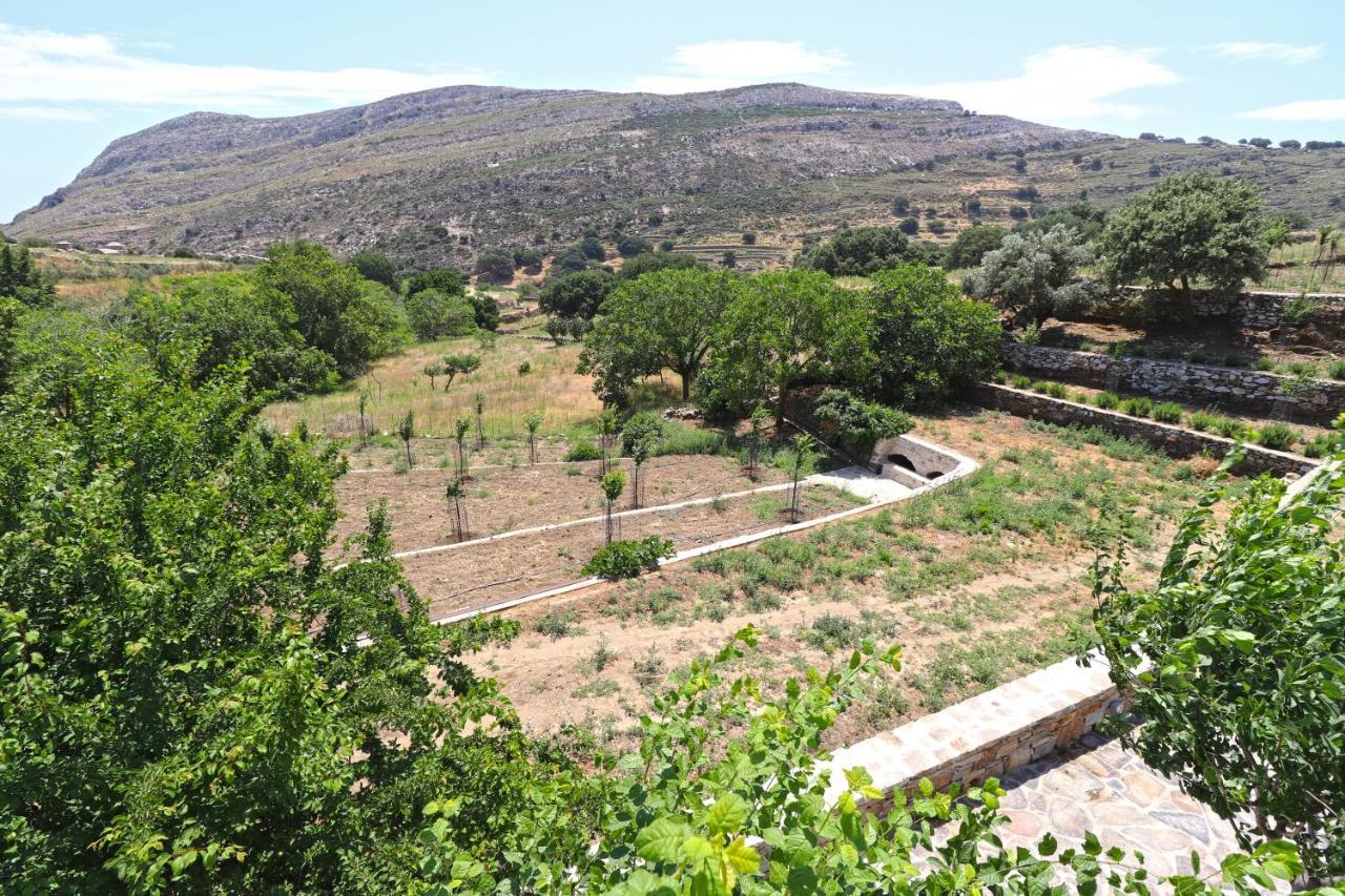 Serenity Village Aperathos Ngoại thất bức ảnh