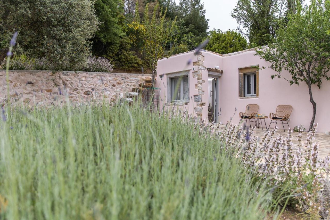 Serenity Village Aperathos Ngoại thất bức ảnh